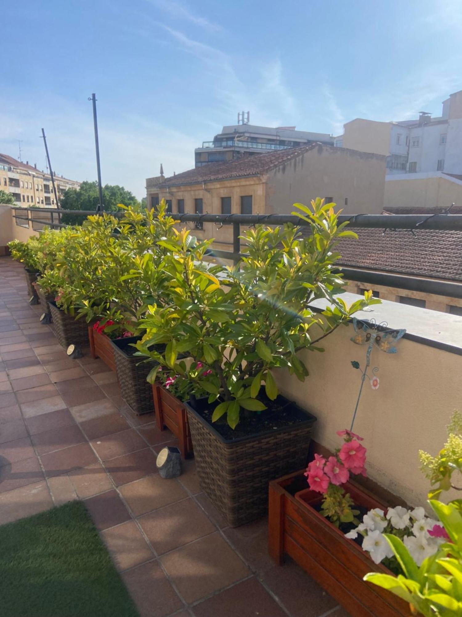 Appartamento ático Puerta Zamora *